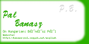 pal banasz business card